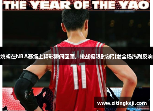 姚明在NBA赛场上精彩瞬间回顾，挑战极限时刻引发全场热烈反响